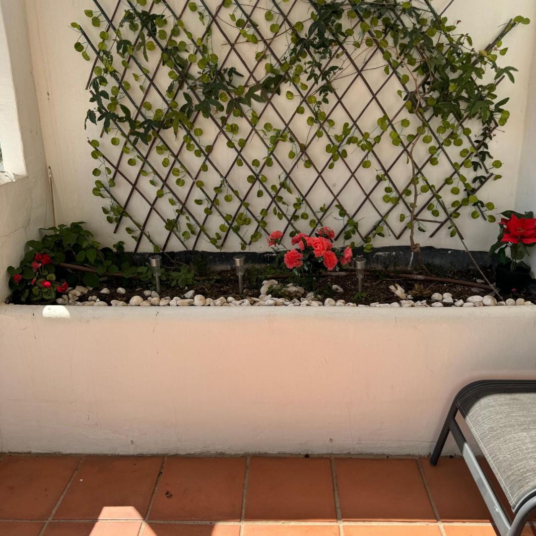 Costalita Dreams Apartment Estepona Exterior photo